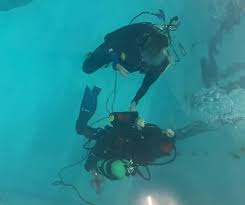 Image result for Seabug Divers