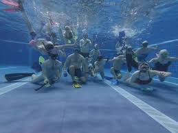 Image result for Great Yarmouth Octopush Club