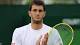 Wimbledon 2013: James Ward beaten as Brits struggle