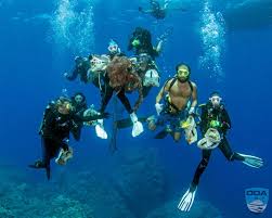 Image result for Exe To Sea Diving