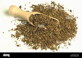 Attēlu rezultāti vaicājumam “Valeriana officinalis fruit”