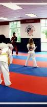 Image result for Northern Freestyle Karate Association