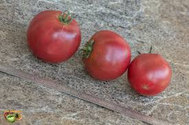 Afbeeldingsresultaat voor marizol purple tomato