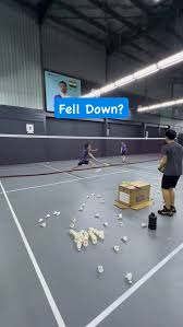 Image result for Sylvan Badminton Club
