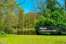 Image result for sonsbeek park