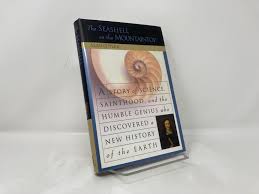 Image result for mountain top seashell