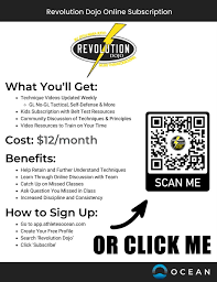 Image result for Revolution Dojo