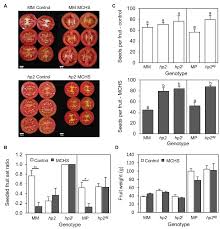 Image result for Vcd Ttc