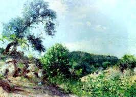 Resultado de imagen para schiaffino