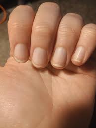 Image result for lunula nail