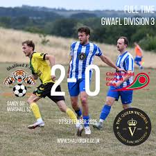 Image result for Shalford F C