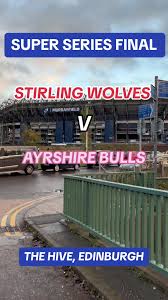 Image result for Stirling Wolves