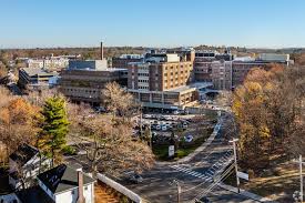 Image result for Newton Road Bowls Club