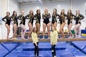 Image result for Border Counties School Of Gymnastics