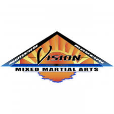 Image result for Vision Martial Arts