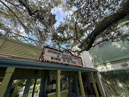 Image result for Enzian