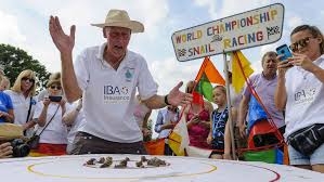 Image result for World Snail Racing Championships