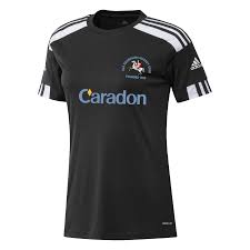 Image result for Old Georgians Hockey Club