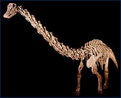 Image result for Jurassic