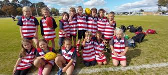 Image result for Footy Messenger