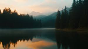 Image result for image