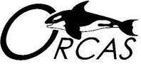 Image result for Ilfracombe Orcas Octopush Club