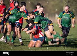 Image result for North Dorset