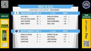 Image result for Oxshott Village Cricket Club