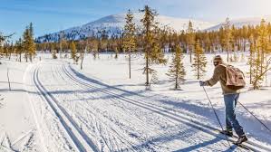 Image result for Scandinavian slope and cross country skiing