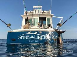 Image result for Newhaven Deep Sea Anglers