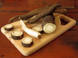 Attēlu rezultāti vaicājumam “Arctium lappa fruit”