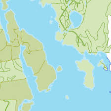 Attēlu rezultāti vaicājumam “Exochorda giraldii var. wilsonii”
