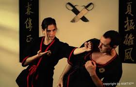 Image result for Southgate T`ai Tsung Kung Fu Association