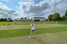 Image result for High Easter Cricket Club