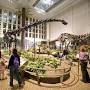 q=https://www.mapquest.com/us/pennsylvania/carnegie-museum-of-natural-history-372577581 from www.visitpittsburgh.com