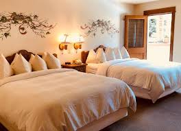 Image result for Enzian