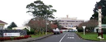 Image result for Austerlands Institute