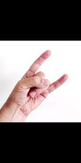 Image result for illuminati hand sign