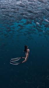 Image result for Tornado Divers