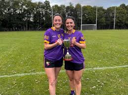 Image result for Carryduff Gaelic Athletic Club