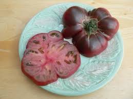 Afbeeldingsresultaat voor 1884 purple tomato