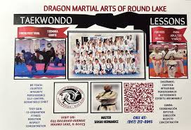 Image result for Dragon Martial Arts Association