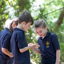 Image result for Cranleigh School Golf Club