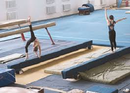 Image result for Harnham Gymnastics Club
