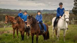 Image result for Palmers Riding Stables