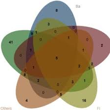 Attēlu rezultāti vaicājumam “Stemonitopsis hyperopta var. landewaldii spores”