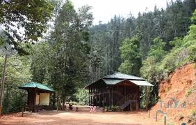 Image result for синхараджа