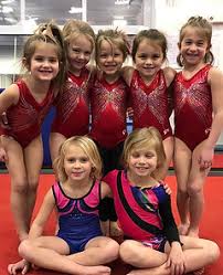 Image result for Biddick Sports College Community Gymnastics Club