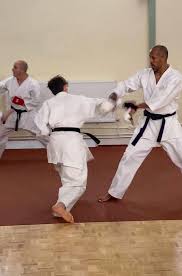 Image result for Thames Valley Shotokan Karate