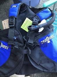 Image result for Seaquest Divers